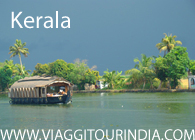 Viaggio Kerala Cochin - Munnar - Periyar - Kottayam - Alleppey - Kovalam - Trivandrum